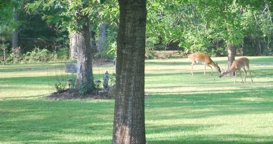 City of Bevil Oaks